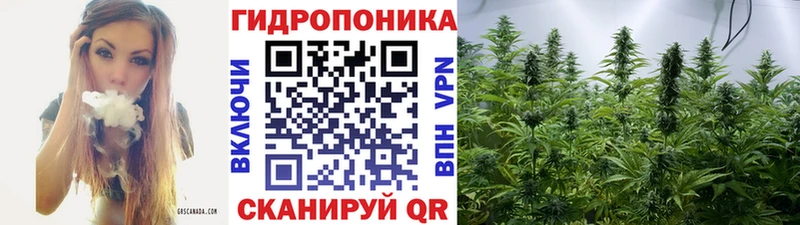 shop Telegram  где продают наркотики  Среднеколымск  Бошки марихуана семена 